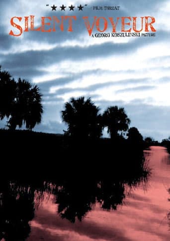 Silent Voyeur poster