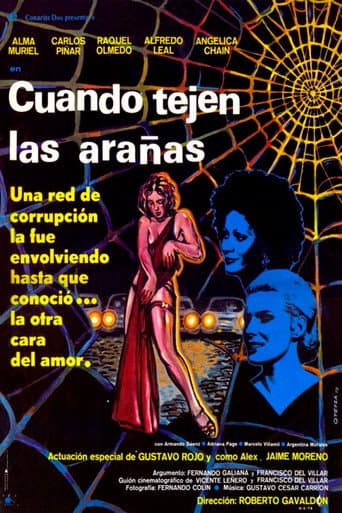 Cuando tejen las arañas poster