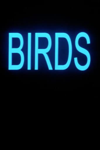 Birds poster