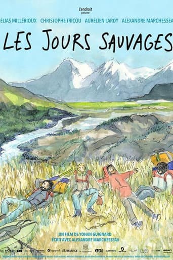 Wild Days poster
