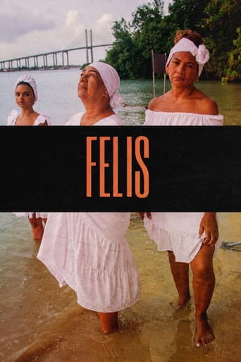 Felis poster