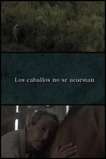 Horses Don’t Lie Down poster