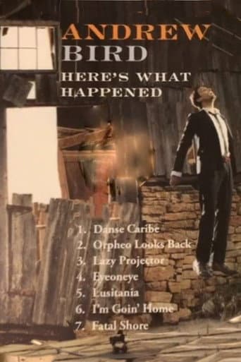 Andrew Bird: Here's What Happened poster