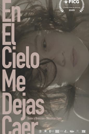 In the Sky You Let Me Fall poster