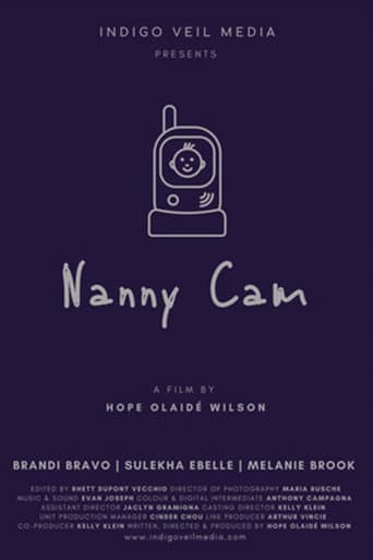 Nanny Cam poster