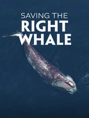 Saving the Right Whale poster
