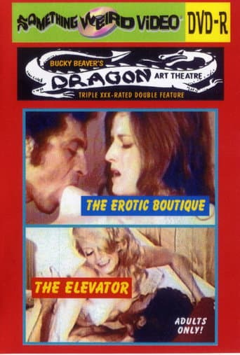 The Erotic Boutique poster
