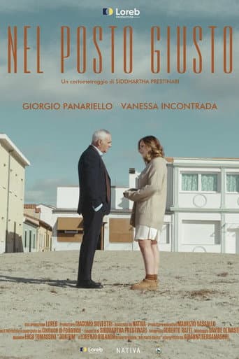 Nel posto giusto poster