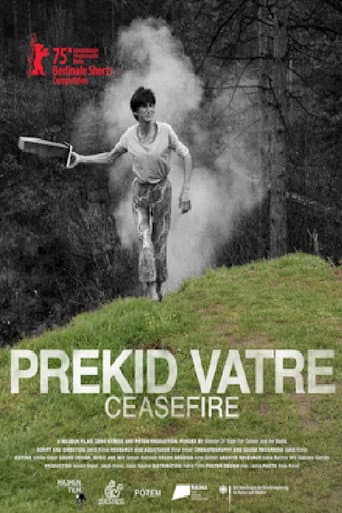Ceasefire poster