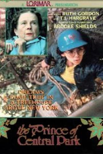 The Prince of Central Park poster
