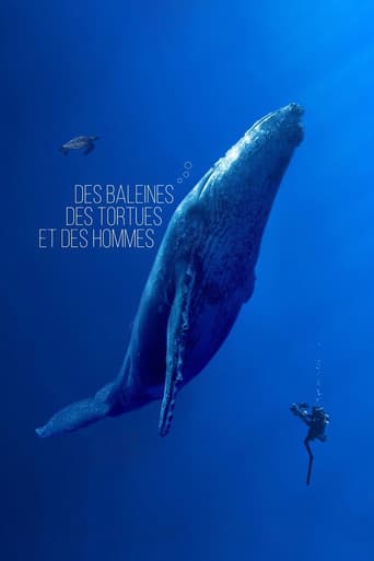 Des baleines, des tortues et des hommes poster