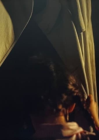 L'Ombra del Sac poster