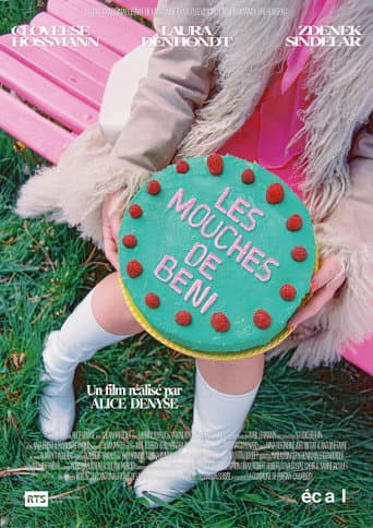 Les Mouches de Beni poster
