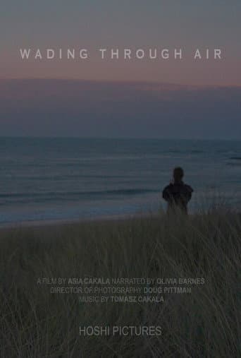 Wading Through Air poster