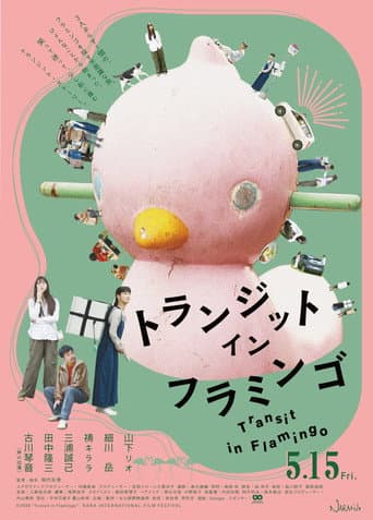 Transit in Flamingo poster