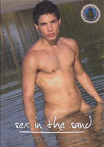 Sex in the Sand poster