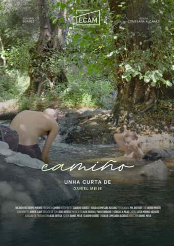 Camiño poster