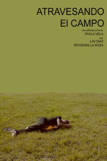 Atravesando el campo poster