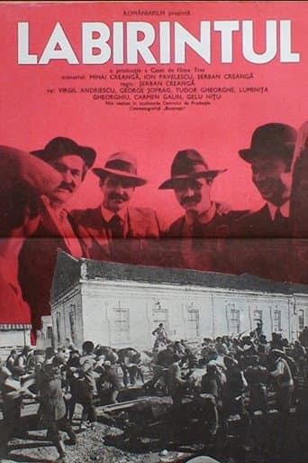 Labirintul poster