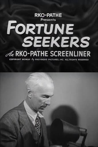 Fortune Seekers poster