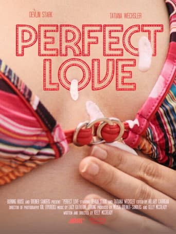 Perfect Love poster