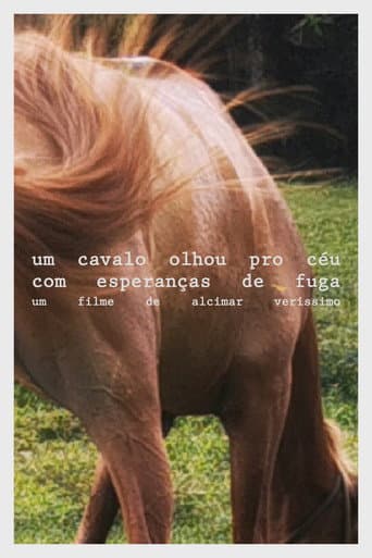 A horse looked at the sky with hope of escape poster