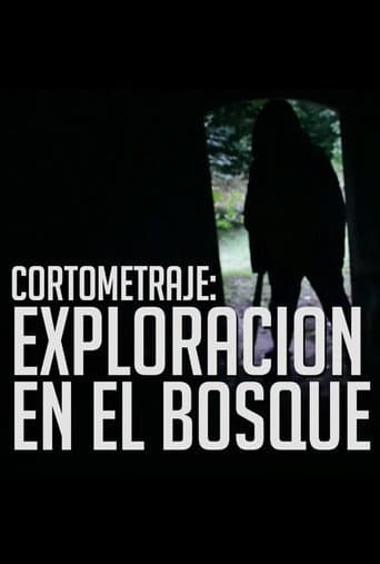 Tragic Search in the Woods poster