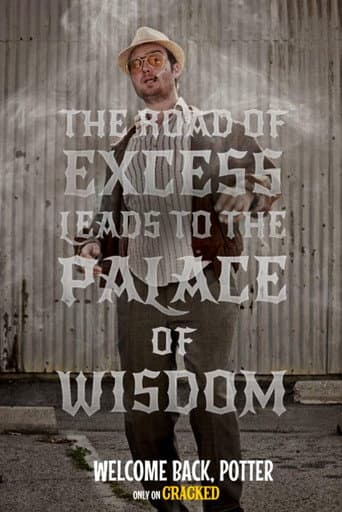 Welcome Back, Potter poster