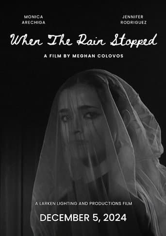 When The Rain Stopped poster