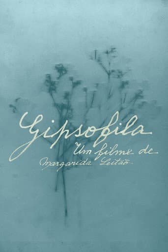 Gypsophila poster
