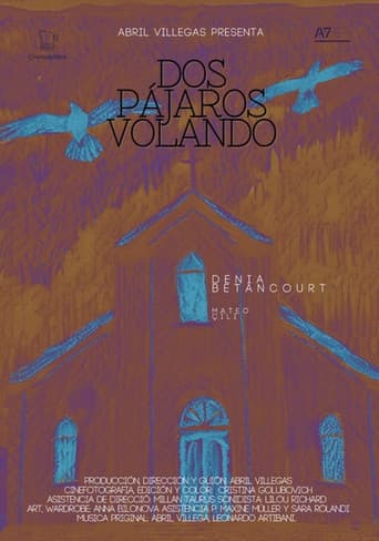 Dos pájaros volando poster