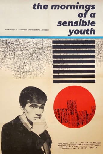 The Mornings of a Sensible Youth poster