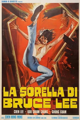 Chiu Chow Kung Fu poster