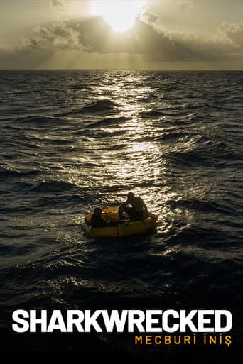 Sharkwrecked: Crash Landing poster