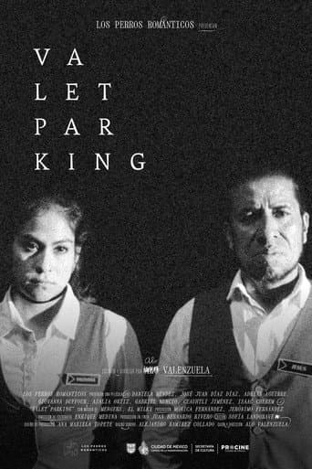 Valet parking poster