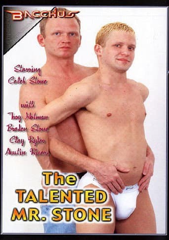 The Talented Mr. Stone poster