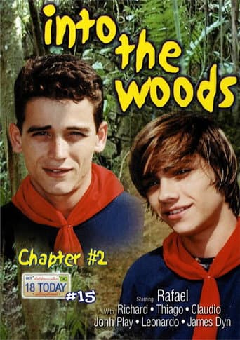 18 Today International 15: Into the Woods 2 poster