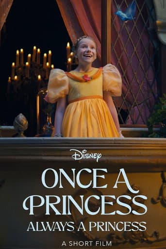 Once a Princess, Always a Princess poster