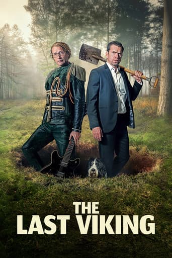 The Last Viking poster