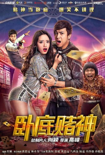 The Undercover Hero poster