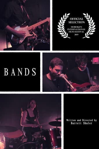 BANDS poster