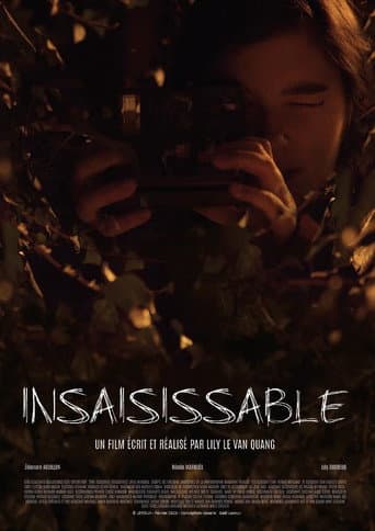 Insaisissable poster