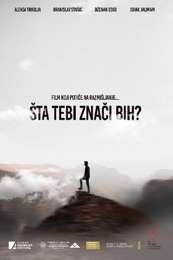 What Does Bosnia Mean to You? poster