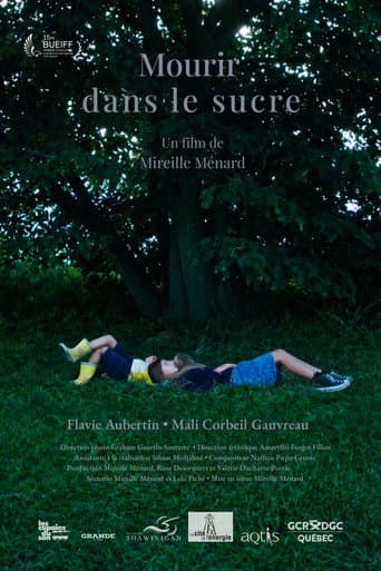 Mourir dans le sucre poster