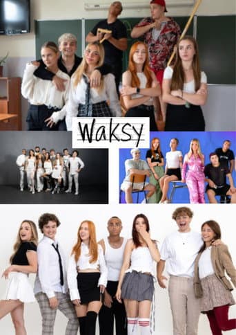 LEKCJA O SEKSIE poster
