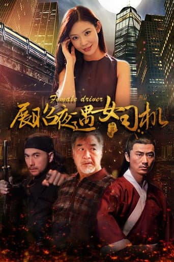 展昭夜遇女司机 poster
