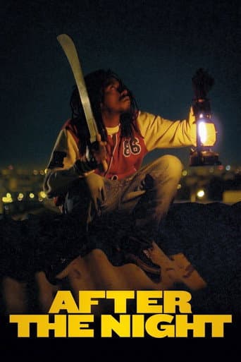 After the Light poster