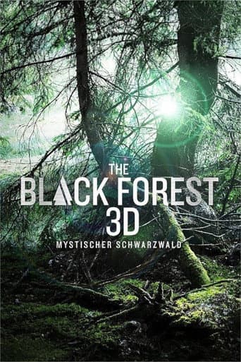 The Black Forest - Mystischer Schwarzwald poster
