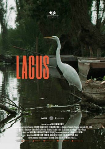 Lacus poster