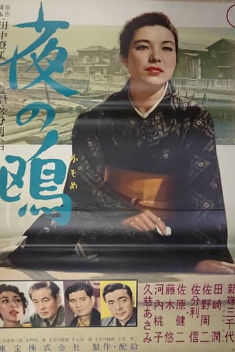 Seagull of the Night poster